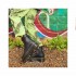 Dr. Martens stivale anfibio platform Jadon III pelle Pisa black