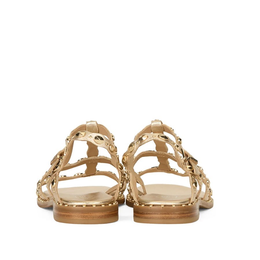 Ash PLUS Sandalo donna fasce Borchie platino/oro