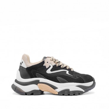 ash-sneaker-addict01-in-pelletessuto-skinmulticolor