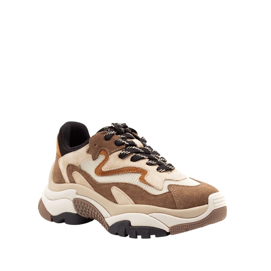 ash-sneaker-addict02-in-pelletessuto-multi-terra