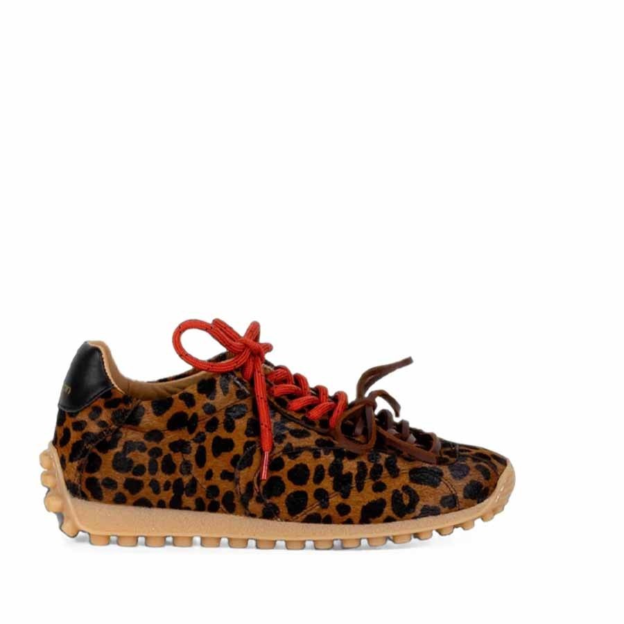 Stokton sneakers allacciata donna GOLITO in cavallino Jaguar