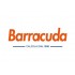 Barracuda